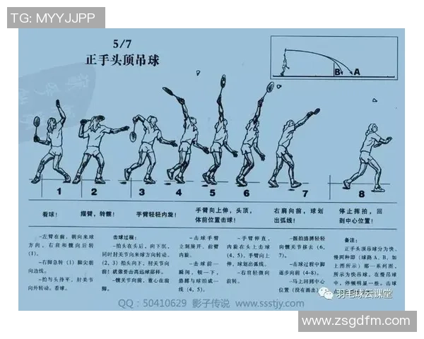 成都羽毛球队速度对比深度解析与战术探讨